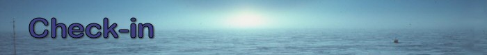 Check-in